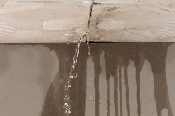 Professional Sewage Cleanup technician working in Buda, TX
